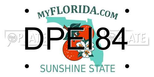 DPEI84 Florida License Plate