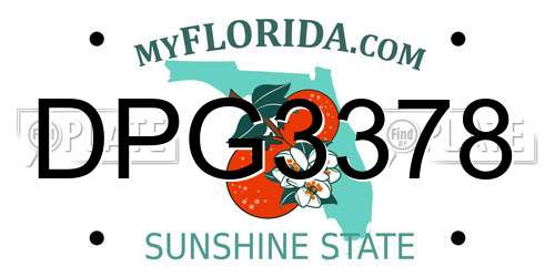 DPG3378 Florida License Plate