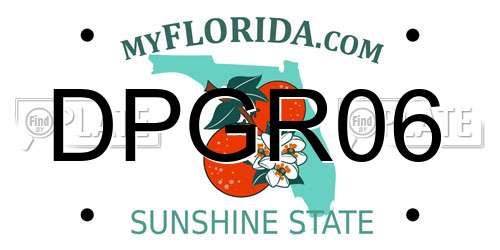 DPGR06 Florida License Plate