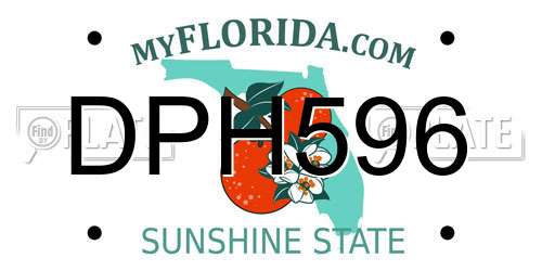 DPH596 Florida License Plate
