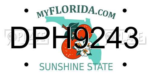 DPH9243 Florida License Plate