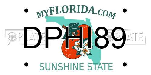 DPHI89 Florida License Plate