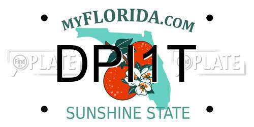 DPI1T Florida License Plate