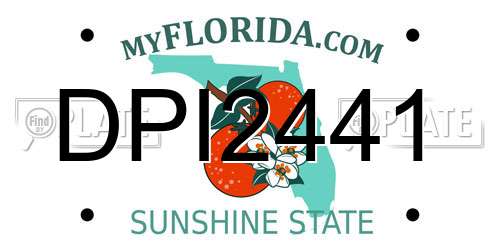 DPI2441 Florida License Plate
