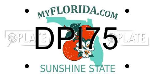 DPI75 Florida License Plate