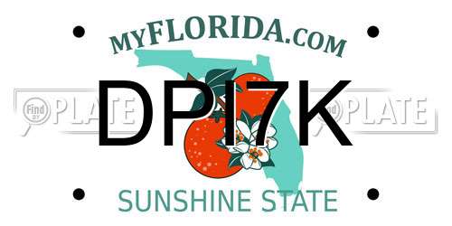 DPI7K Florida License Plate