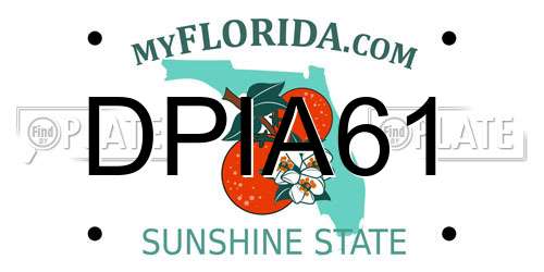 DPIA61 Florida License Plate