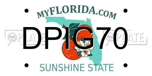 DPIG70 Florida License Plate