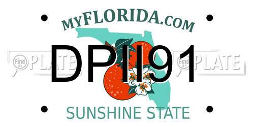 DPII91 Florida License Plate