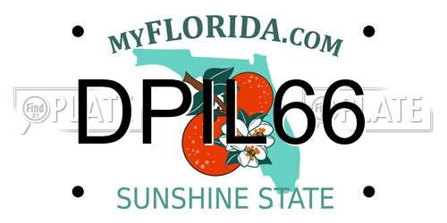 DPIL66 Florida License Plate