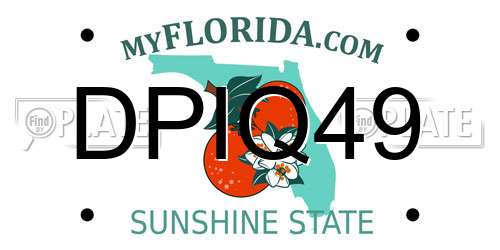 DPIQ49 Florida License Plate