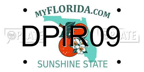 DPIR09 Florida License Plate