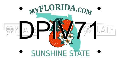 DPIV71 Florida License Plate
