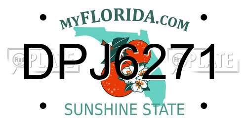 DPJ6271 Florida License Plate