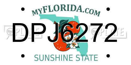 DPJ6272 Florida License Plate