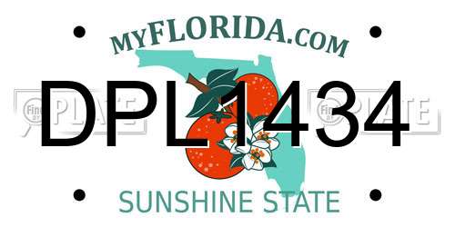 DPL1434 Florida License Plate
