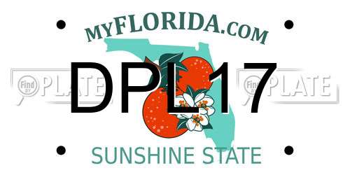 DPL17 Florida License Plate