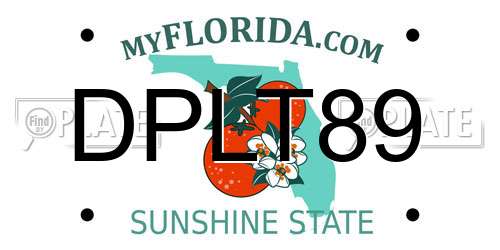 DPLT89 Florida License Plate