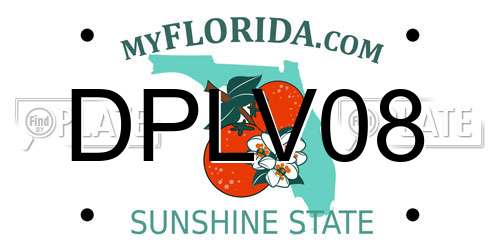 DPLV08 Florida License Plate