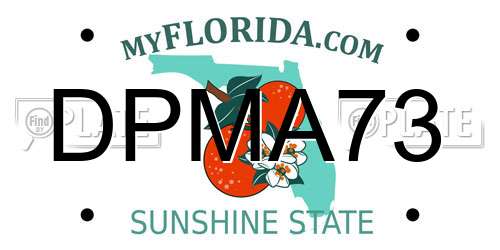 DPMA73 Florida License Plate