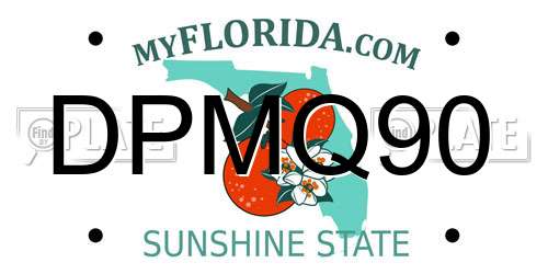 DPMQ90 Florida License Plate