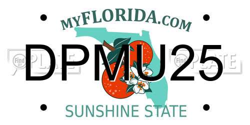 DPMU25 Florida License Plate
