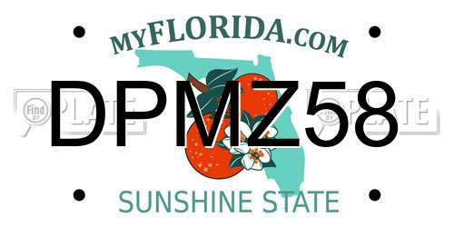 DPMZ58 Florida License Plate