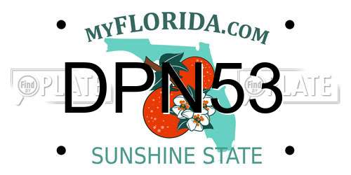 DPN53 Florida License Plate
