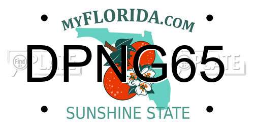DPNG65 Florida License Plate