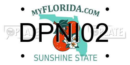 DPNI02 Florida License Plate