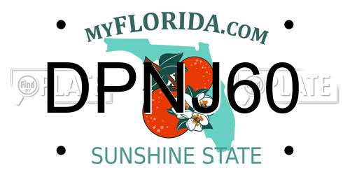 DPNJ60 Florida License Plate