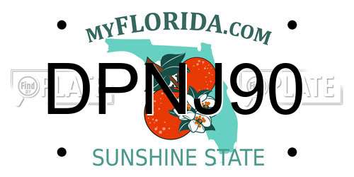 DPNJ90 Florida License Plate