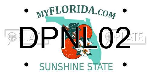 DPNL02 Florida License Plate