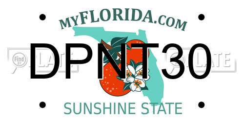 DPNT30 Florida License Plate