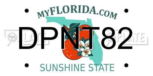DPNT82 Florida License Plate