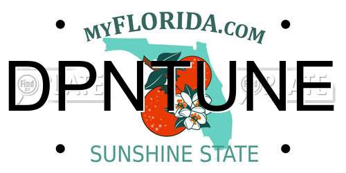 DPNTUNE Florida License Plate