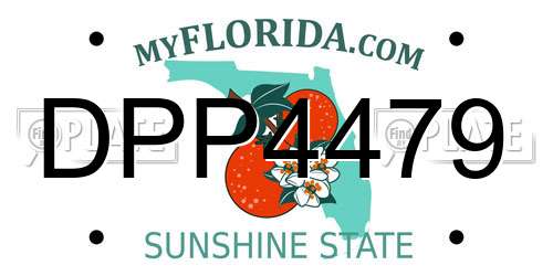 DPP4479 Florida License Plate