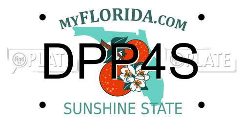 DPP4S Florida License Plate