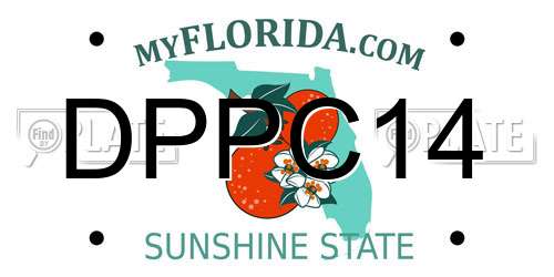 DPPC14 Florida License Plate