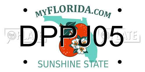 DPPJ05 Florida License Plate