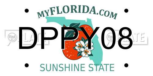 DPPY08 Florida License Plate