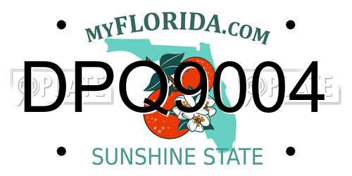 DPQ9004 Florida License Plate