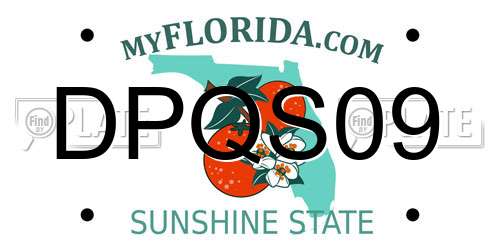 DPQS09 Florida License Plate