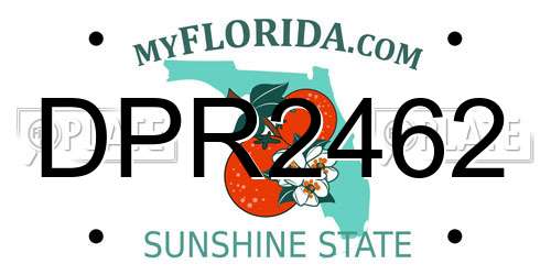 DPR2462 Florida License Plate