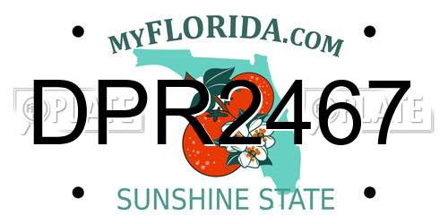 DPR2467 Florida License Plate