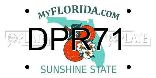 DPR71 Florida License Plate
