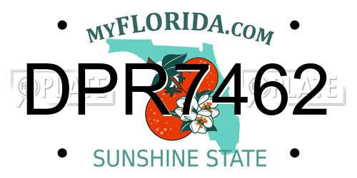 DPR7462 Florida License Plate