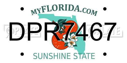 DPR7467 Florida License Plate