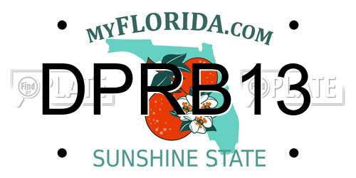 DPRB13 Florida License Plate