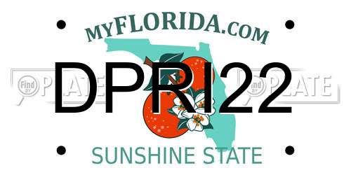 DPRI22 Florida License Plate